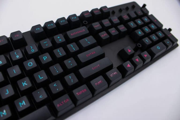 SA Miami Nights profile