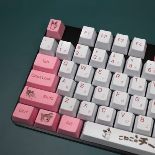 Crazy Kitty OEM Profile PBT Keycaps Main