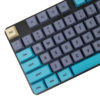 XDA Profile Electric Cat PBT Keycaps Main